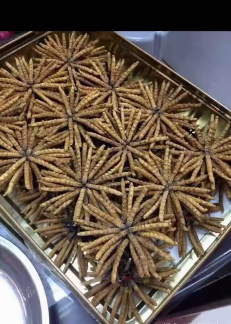 回收冬虫夏草 回收冬虫夏草