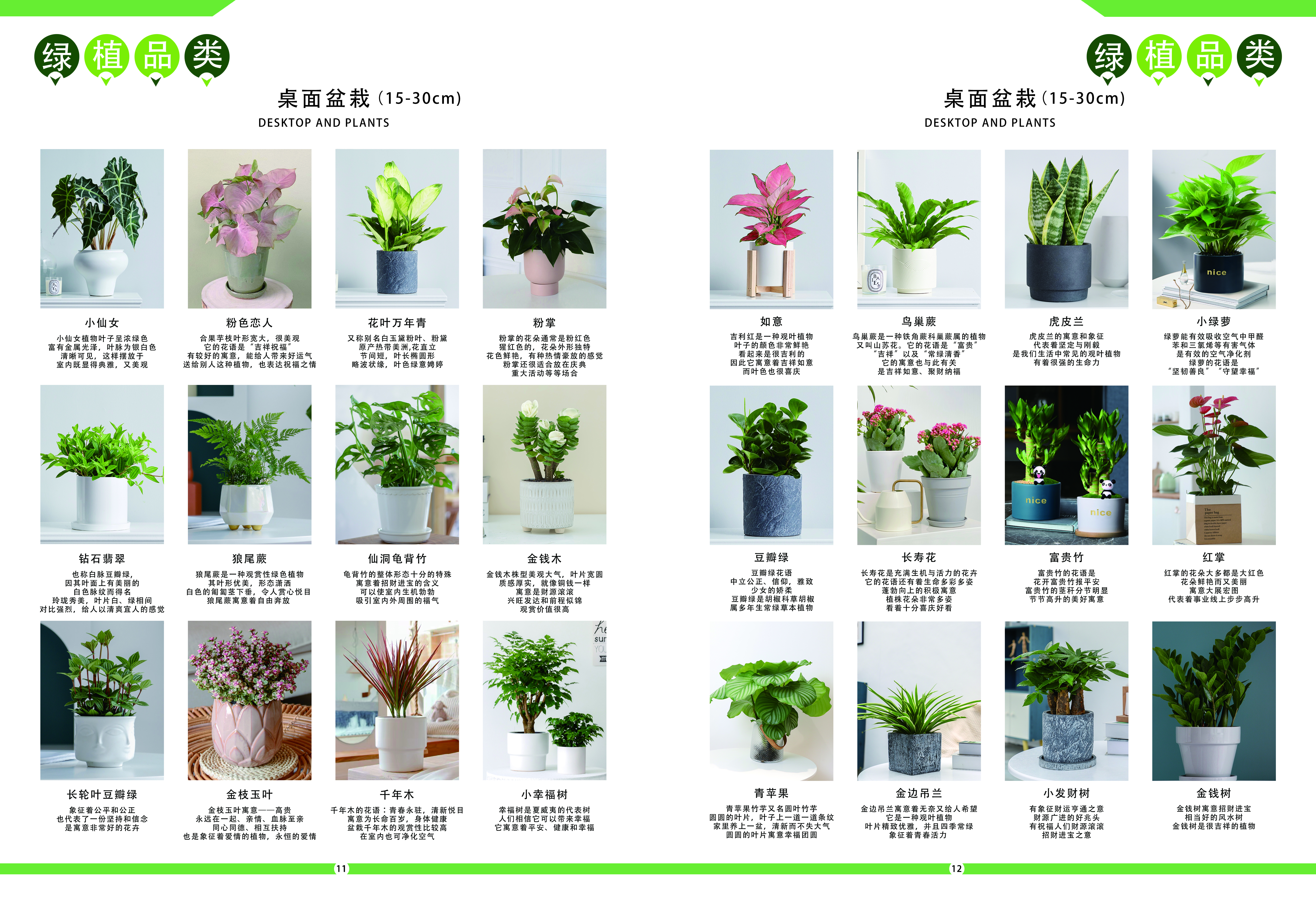 绿植租赁